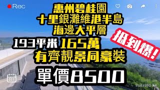 深圳二千幾萬嘅屋想都唔敢想？惠州 十里銀灘維港半島165萬嘅海景大平層等你嚟！單價8500起即上車2000尺大平層#十里銀灘維港半島 #十里銀灘 #維港半島 #港人置業 #惠州睇樓團 #惠州樓盤