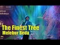 The Finest Tree - Melebur Beda Live at Alun alun Yogyakarta 24 Mei 2019