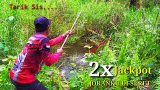 MANCING IKAN BETOK/PAPUYU DI RAWA AIR HITAM JORANKU DI SERET PREDATOR RAWA