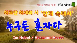 [힐링 문학 / 명상 시와 에세이] 헤르만 헤세 시 ‘안개 속에서’ (Im Nebel / Hermann Hesse) 그리고 고독에 대하여 - 삶은 외로이 있는 것, 누구든 혼자다