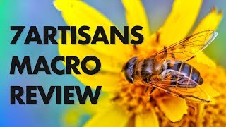 7Artisans 60mm Macro Lens Review – Best Budget Macro for under $200?