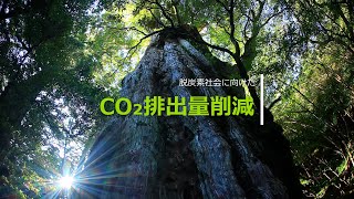 脱炭素社会に向けたCO₂排出量実質ゼロへの取り組み