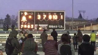 帯広競馬場ばんえい競馬　第38回帯広記念(BG1) 2016年1月2日　場内レース後の様子