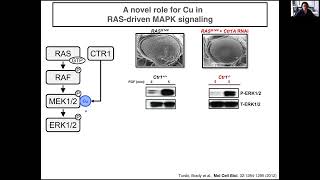 Scientist Stories: Donita Brady, The role of metals in cancer focusing on copper \u0026 kinases