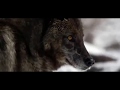 imagine dragons natural wolves