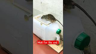 Rat trap ||ইঁদুর কল#stylewithrekha #viral #rat #trap #shorts