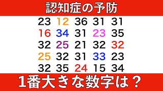 優しい脳トレ！　計算問題、数字探し、並び替え問題に挑戦！　2024年2月5日