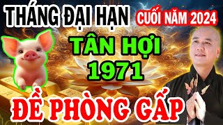 Tử Vi Tuổi TÂN HỢI 1971 Cuối Năm 2024 Biết Sớm THÁNG ĐẠI HẠN NÀY Gặp Hung Hóa Cát Đổi Đời GIÀU TO