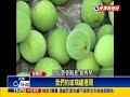 2015水荒－全台大缺水 青梅產量少三成－民視新聞