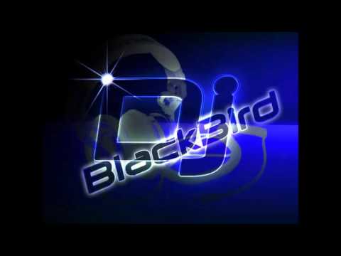 ♫Dj_BlackBird - EDM/Electro Mix 2k16#1(Happy New Year)♫ - YouTube