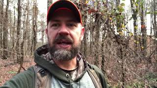 Georgia Late Season Deer Hunting Tip - Natural Food Sources