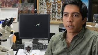 Lab. de entomología UMSNH │ Casivlog (1) │Zussolópodo: naturaleza y algo.