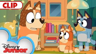 Bluey Season 3 Episode 1 \