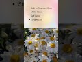 NEW: MB Liquid Glass for After Effects