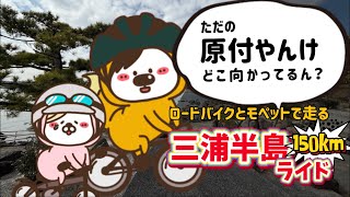 【ゆるポタ】方向性の違いが顕著になった…ロードバイクとモペットで走る三浦半島ライド150km