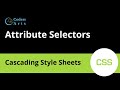 33. Attribute Selectors | CSS Tutorial For Beginners