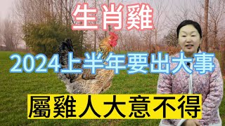 生肖雞！2024年上半年要出大事！危險兆頭！屬雞人早做准備應對！渡過劫難！事事順利！財源滾滾來！#運勢 #佛教 #風水 #2024