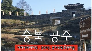 [ 충남 공주 ] 메타세콰이어길 \u0026 공산성 \u0026 공주산림휴양마을 태화산 301호 (공산성 :주차장, 시간, 입장료, 코스)(휴양림 : 이용요금, 야영장, 숙박동 배치도 등)