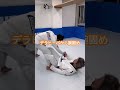 ［柔術テクニック］デラヒーバから腕固め 柔術 jiujitsu 柔術テクニック bjj ブラジリアン柔術 格闘技