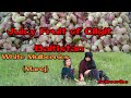 Fresh white Mulberries in Gilgit|| Gilgit Diaries Ep. 3|| Seema Batool