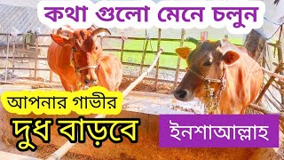 গরুর দুধ  বৃদ্ধির উপায় | গাভীর দুধ বৃদ্ধির উপায় | Gorur Dudh Baranor Upay