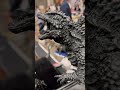 呉爾羅 劇中咆哮シーンをメタリカルなマイナスカラーで再現 二郎工房 godzilla godzillaminusone ゴジラマイナスワン ゴジラ 東宝特撮ワンフェス ワンフェス