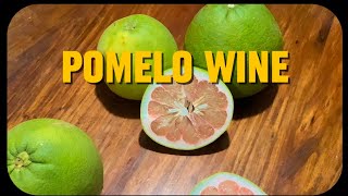 Pomelo Wine | By Group 4 | Fermentation Project on General Biology I