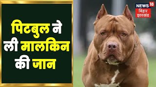 Pit Bull Dog ने मालकिन को नोंच-नोंच कर उतारा मौत के घाट, नगर निगम की टीम ने पिटबुल को पकड़ा