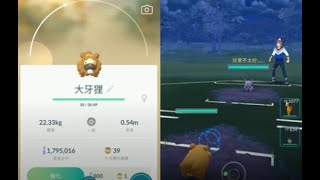 《Pokemon GO：精靈寶可夢GO》大牙狸與勾魂眼對戰!