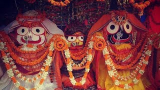 Bedha Parikrama 5 | Puri Jagannath Temple inside view North-East | Surendranath Dash | Odisha365