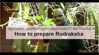 രുദ്രാക്ഷം എങ്ങനെ ഉണ്ടാക്കുന്നതെന്ന് അറിയാമോ? /  How to prepare Rudraksha(Rudhraksham)