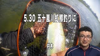 5 30 五十嵐川で虹鱒釣り