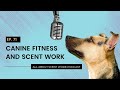 Ep. 71: Canine Fitness and Scent Work - All About Scent Work Podcast