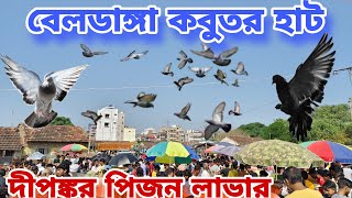 চটিয়াল গরম বাজি কবুতর সক করুন বেলডাঙ্গা হাটে বন্ধুরা#মুর্শিদাবাদির ব্লাড#বেস্ট কোয়ালিটি#