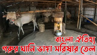 গরুর ঘানি ভাঙ্গা খাঁটি সরিষার তেল । নামা বাজার সাভার