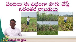 పంటలు ఈ విధంగా సాగు చేస్తే నిరంతర రాబడులు || శ్రీ  మోరంపూడి గంగరాజు