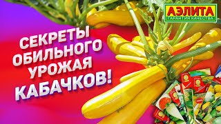 ЛУЧШИЕ сорта и гибриды кабачков! Сажаем семена на рассаду.