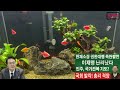 🔴live 문형배 헌재소장 권한대행 충격 발언... 이재명 난리났다 윤석열 대통령 권한 행사 민주당에게 직격탄 민주당 붕괴