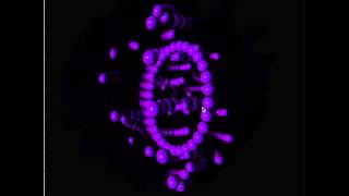 Processing 3D rotation test