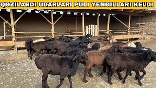 QOZINI POLBONLARI KELDI PULI YENGILLARI☎️+998931954242