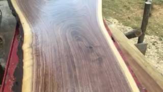 Teds place 2005 black walnut crotch slab 25\