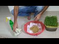 बिना मिट्टी के मैथीकी सब्जी पानी में grow hydroponic or without soil methi