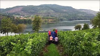 Wherever you are | Ramón do Casar, a vineyard on the River Minho