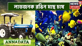 Annadata: লাভজনক রঙিন মাছ চাষ করবেন কী ভাবে ? Capsicum চাষ করবেন কী ভাবে? ।Bangla News