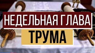 Недельная глава «Трума» с раввином Элазаром Нисимовым