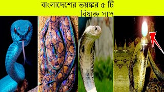 বাংলাদেশের ভয়ঙ্কর ৫ টি বিষাক্ত সাপ