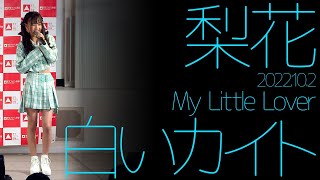 【4K 60P】梨花 - 白いカイト(My Little Lover)【LIVE】