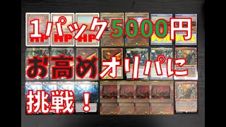 1パック5000円のオリパに挑戦！（かべの店）