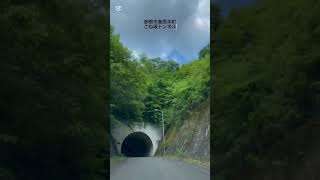 KINKI.TUNNEL.TUBE/近畿隧道見聞録（滋賀県編）彦根市鳥居本町　こね坂トンネル #japan #ドライブ映像 #drive #旅行 #ドライブ風景 #トンネル #tunnel  #景色