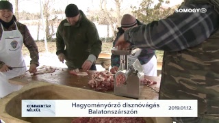 Somogy TV élő közvetítés